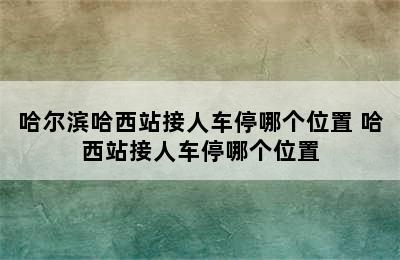 哈尔滨哈西站接人车停哪个位置 哈西站接人车停哪个位置